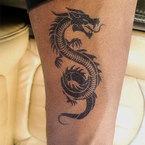 Dragon Set